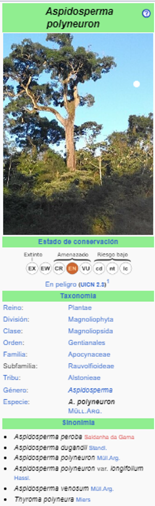 YVYRAROMI - Aspidosperma polyneuron
